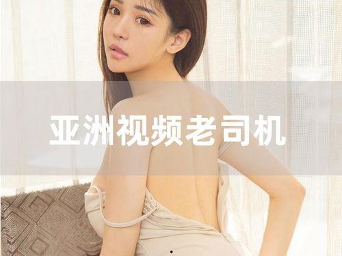 日韩老司机视频免费,免费视频中的驾驶技巧与经验分享