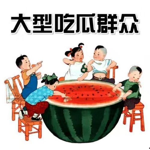 红领巾吃瓜报官网,揭秘娱乐圈最新热点，带你领略幕后故事
